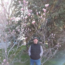 ��������, ���������, 50 ���