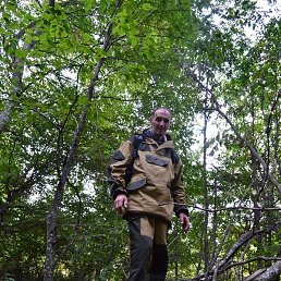 ����, ���������, 54 ����