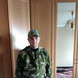 �����, ������, 41 ���