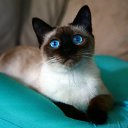 ���� ��������, ����, 43 ���� - ��������� 23 ������ 2024 � ������ ���� ����������