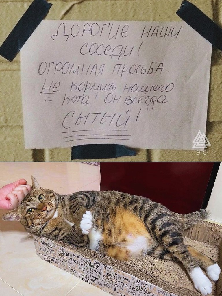 �������� ������������� ������ �����