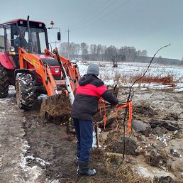 ���� �����, ������, 37 ��� - ��������� 4 ������� 2023