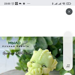 ��������, ������, 38 ���