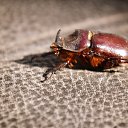 ������� �� ������� ���� ����������