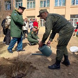 ������� �����, ���������, 51 ���