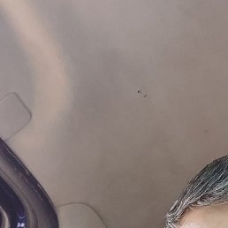 �����, ���������, 41 ���