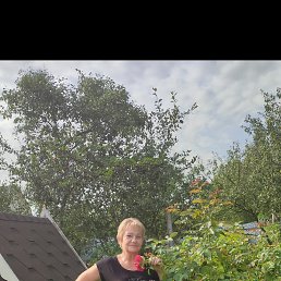 ���� �����, ������, 58 ��� - ��������� 31 ������ 2026