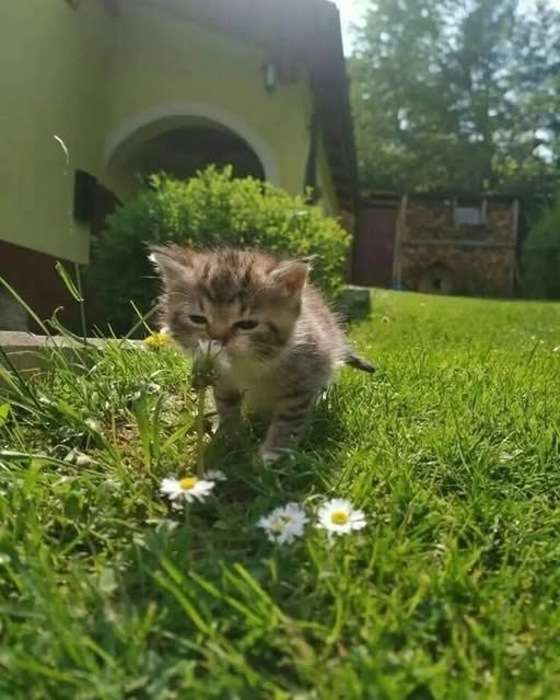 �� ������ �����