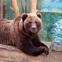 ���� �����, ������, 42 ���� - ��������� 1 ������ 2025 � ������ ���� ����������