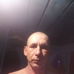 ������, 38 ���, ����������