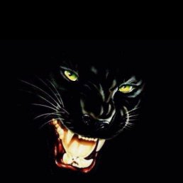 ���� ����, ���������, 57 ��� - ��������� 17 ������� 2024