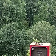 ����, 62 ����, ������