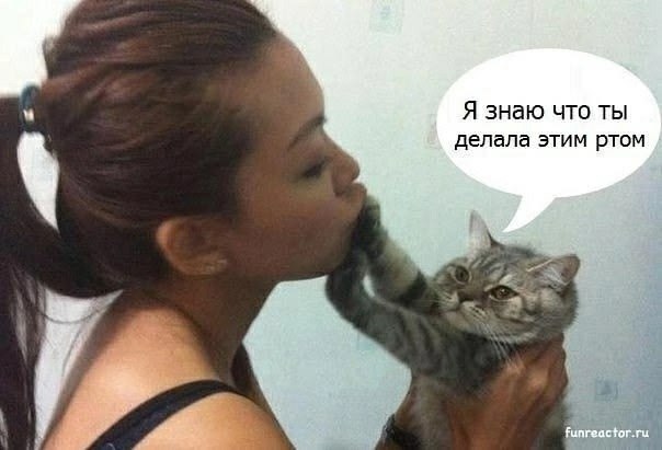 ЁПп - 28 сентября 2025 в 18:14