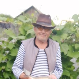 , 65 , 