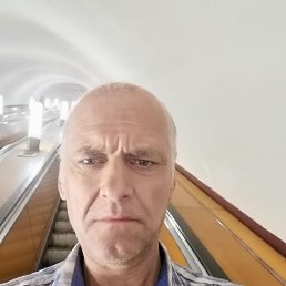 , 53,  