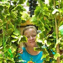 ���� ����, ������, 57 ��� - ��������� 24 ����� 2025 � ������ ���� ����������