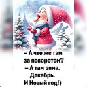 ���� �����, �����, 46 ��� - ��������� 24 ������� 2023 � ������ ���� ����������