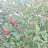 ���� Natalya, ����������, 54 ���� - ��������� 30 ���� 2025