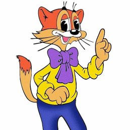 ����, �����-���������, 41 ���