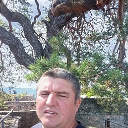 , 43, 