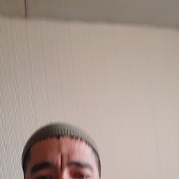 , 41, 