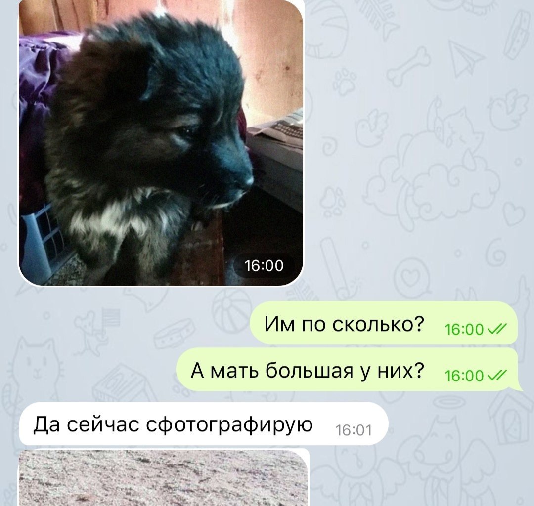       ? - 3