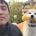 ���� ������, ������, 33 ���� - ��������� 22 ������ 2026 � ������ ���� ����������