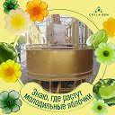 ���� �������, ���������, 67 ��� - ��������� 25 ����� 2026