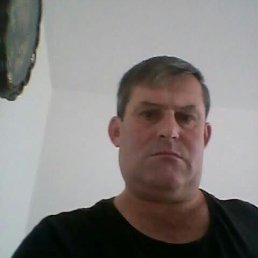 , 52, 