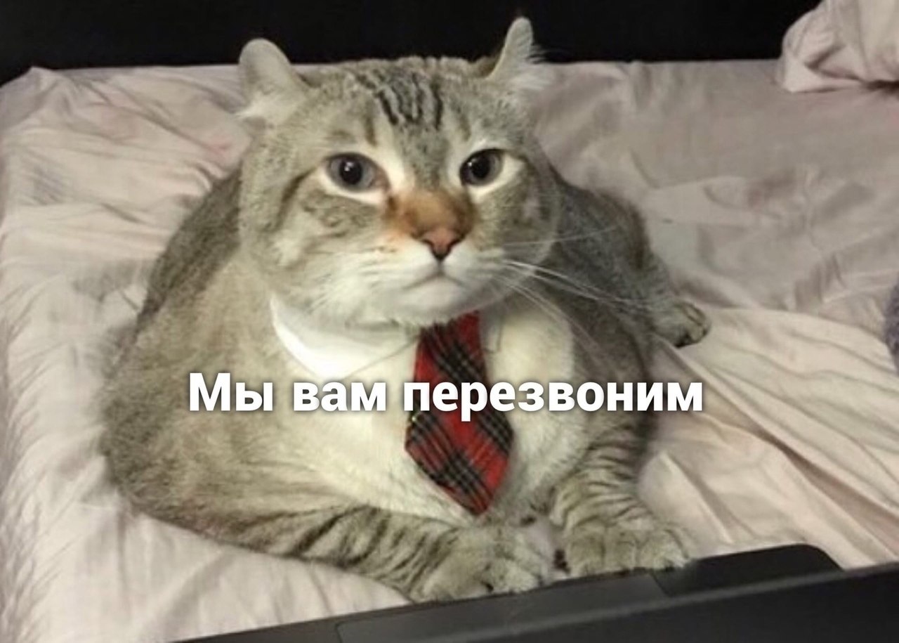 ������ �� ���������) - 2