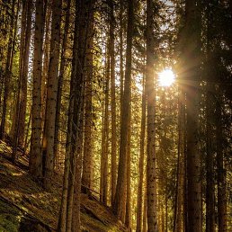 ���� �������, ������, 67 ��� - ��������� 28 ������� 2023