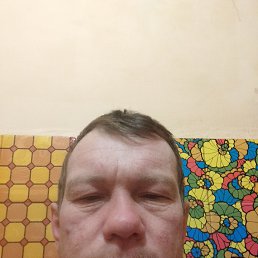 , 40 , 