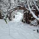 ���� ���������, �������, 65 ��� - ��������� 9 ������� 2024 � ������ ������ ��������