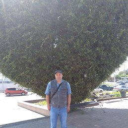 , 47, 