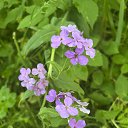 ���� ��������))), ����������� - ��������� 30 ������ 2026 � ������ ���� ����������