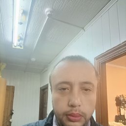 ���� �����, ����������, 41 ��� - ��������� 6 �������� 2024