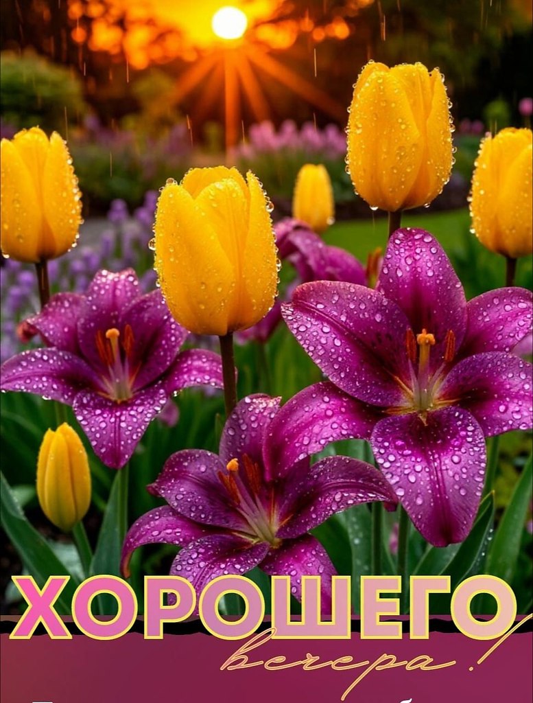   ,    . - 2  2025  17:28 - 2