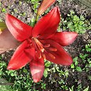 ���� �������, ������, 48 ��� - ��������� 27 ���� 2025