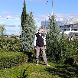 �������, ���������, 43 ����