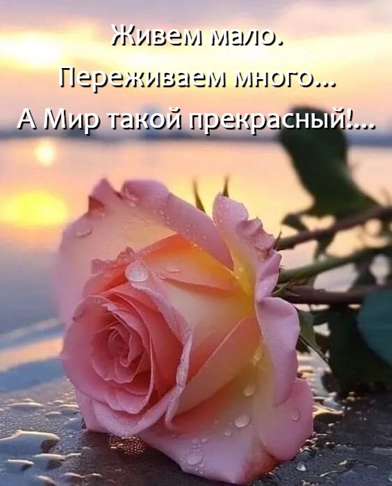 �������� ������ - 22 ������� 2026 � 09:04