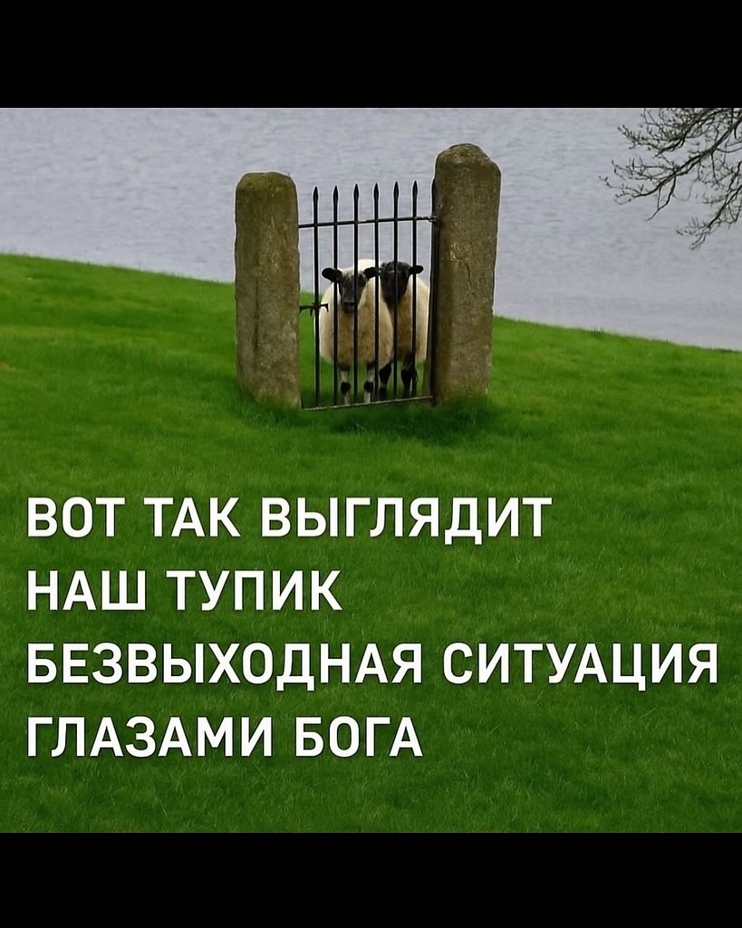 ���� ��� ���� - 25 ���� 2025 � 21:23 - 2
