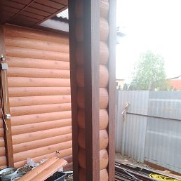 ���� ������, �������, 56 ��� - ��������� 23 ������ 2026