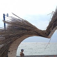 ����, 37 ���, ������