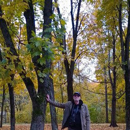 , 53 , -