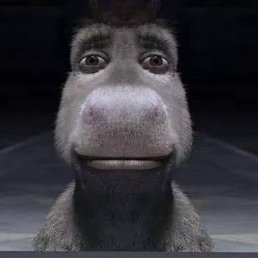 �������, �������, 26 ���