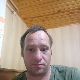 , 33, 