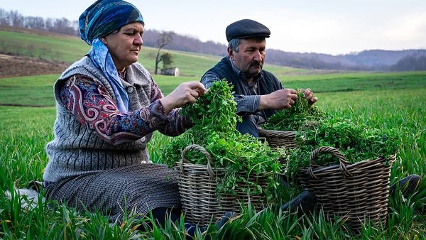 �����������