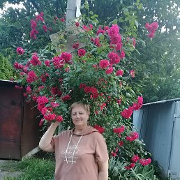 ���� ������, ���������, 63 ���� - ��������� 17 ������� 2025