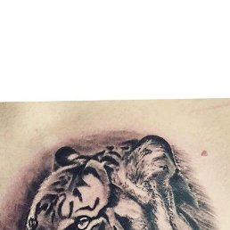 ����, ������, 51 ���