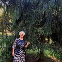 ���� �����, ����� - ��������� 22 �������� 2025 � ������ ���� ����������